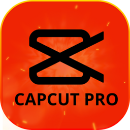 Mostrar productos en la categoría CAPCUT / FILMORA