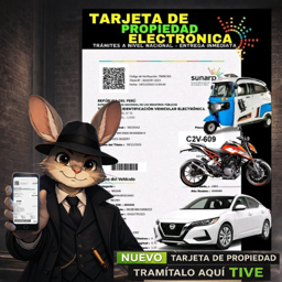 Imagen de TIVE (Tarjeta de propiedad vehicular)